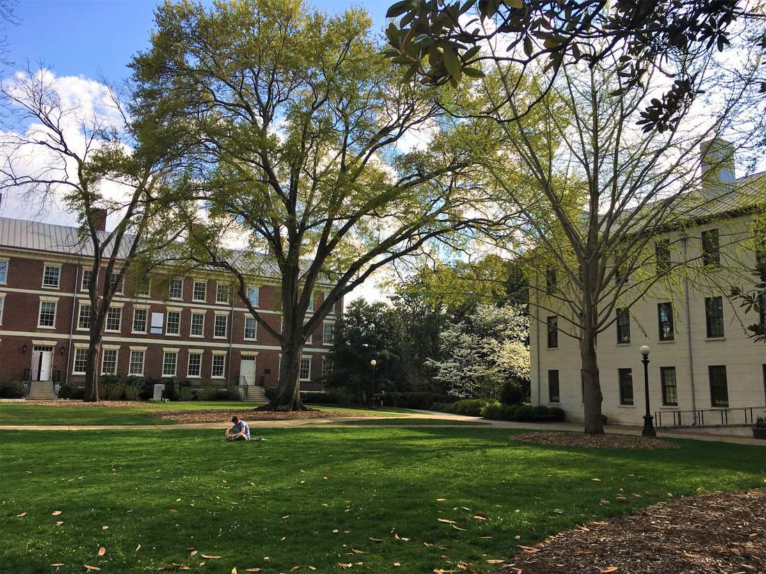Big shade trees and a lawn on UGA’s North Campus, with brick and white buildings behind.
