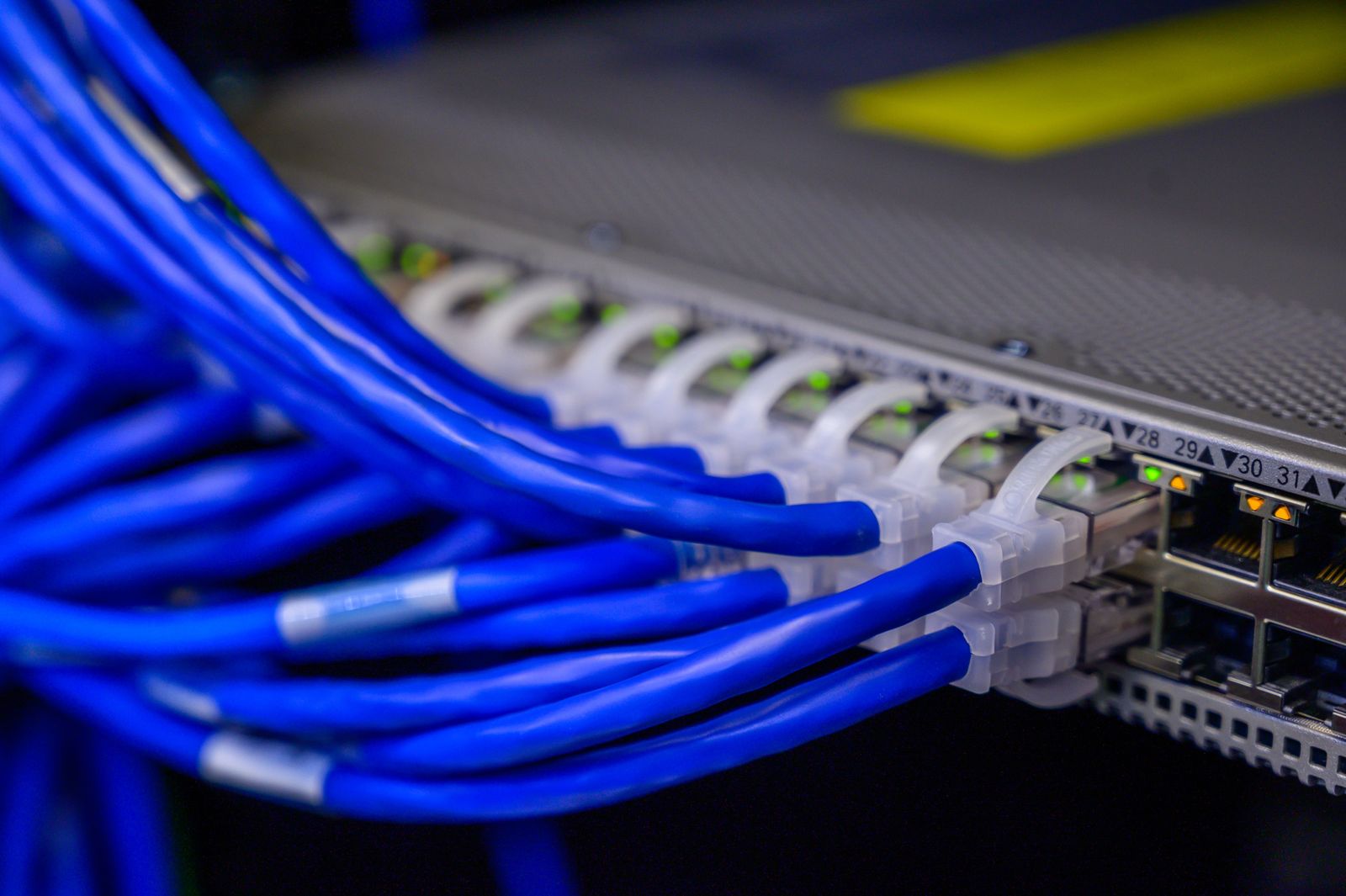 Bundled, labeled network cables plugged into a row of switch ports