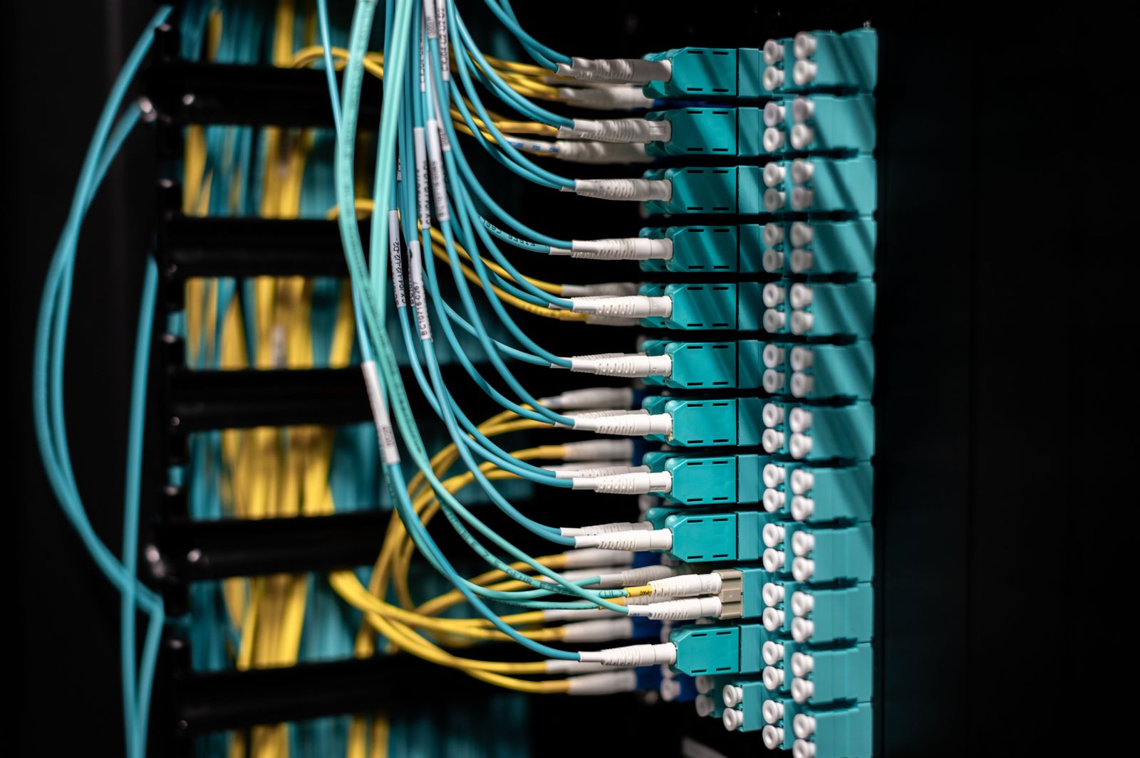 Neatly dressed fiber patch cords running into a labeled patch panel