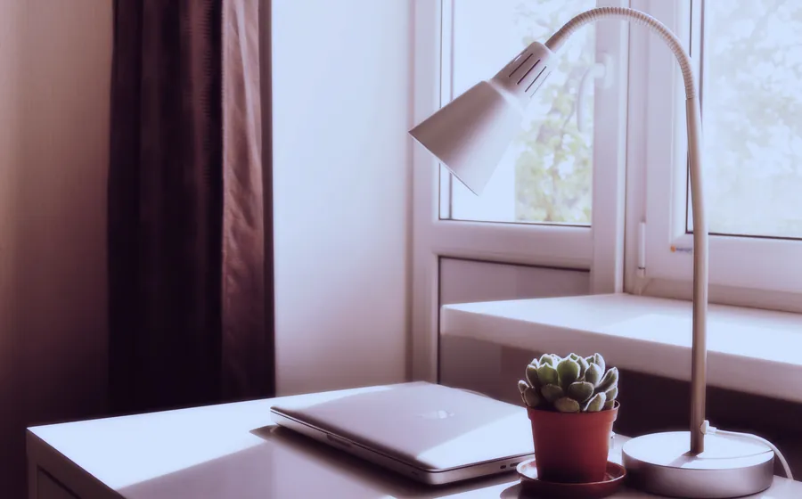 Closed laptop, desk lamp, and a small plant on a table by a window