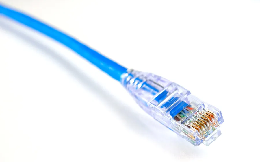 Close-up of a blue network cable with a clear connector
