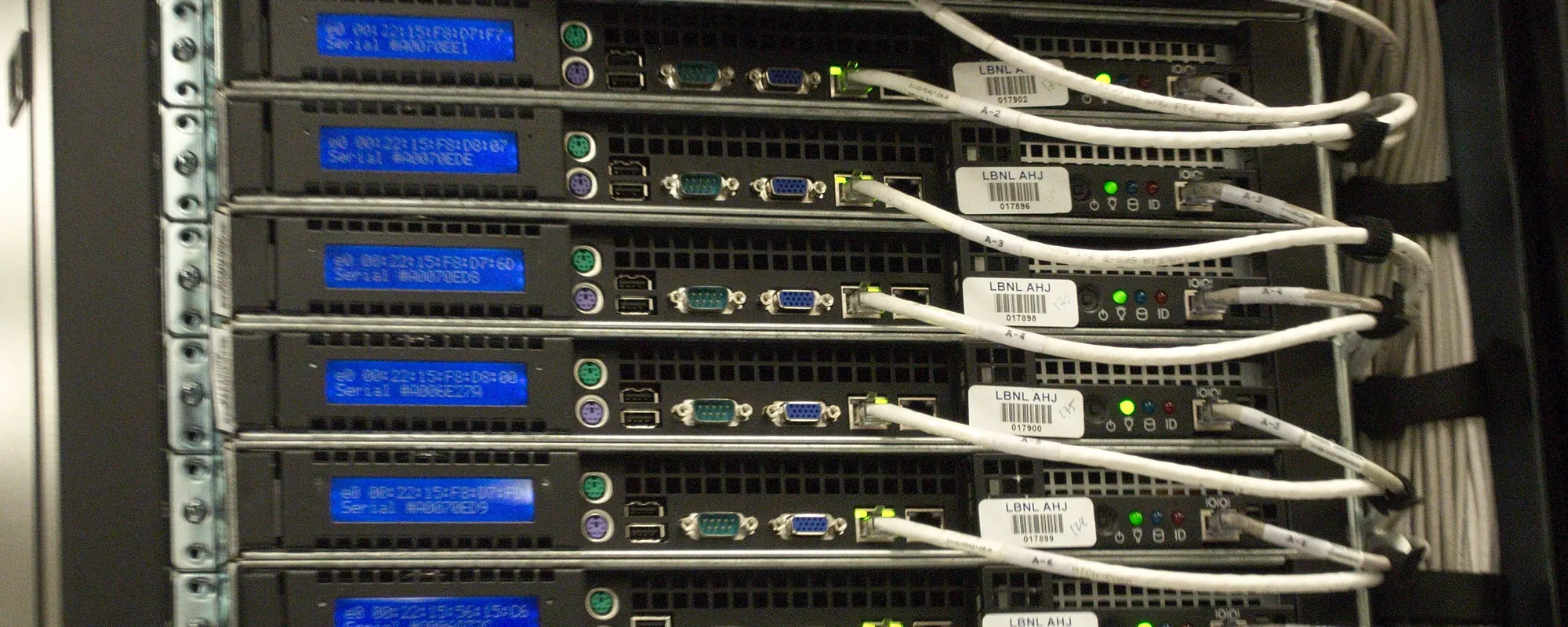 Close-up of neatly bundled network cables at the back of a server rack